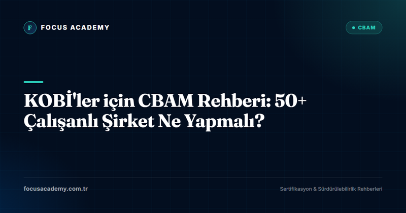 KOBİ'ler için CBAM Rehberi: 50+ Çalışanlı Şirket Ne Yapmalı?