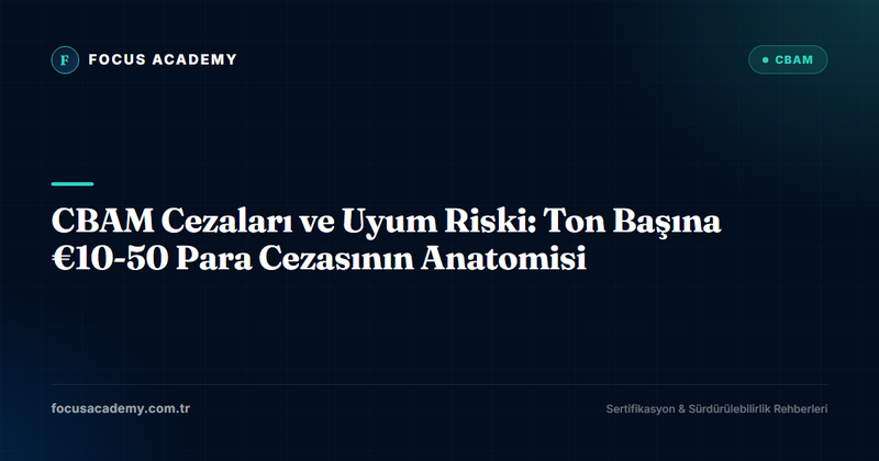 CBAM Cezaları ve Uyum Riski: Ton Başına €10-50 Para Cezasının Anatomisi