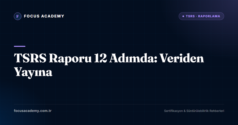 TSRS Raporu 12 Adımda: Veriden Yayına