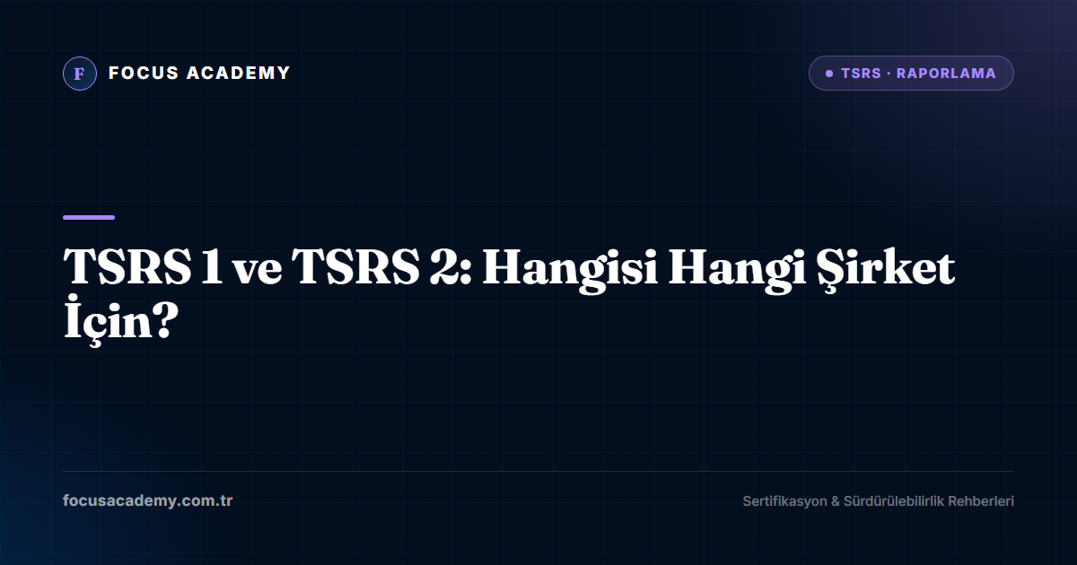 TSRS 1 ve TSRS 2: Hangisi Hangi Şirket İçin?